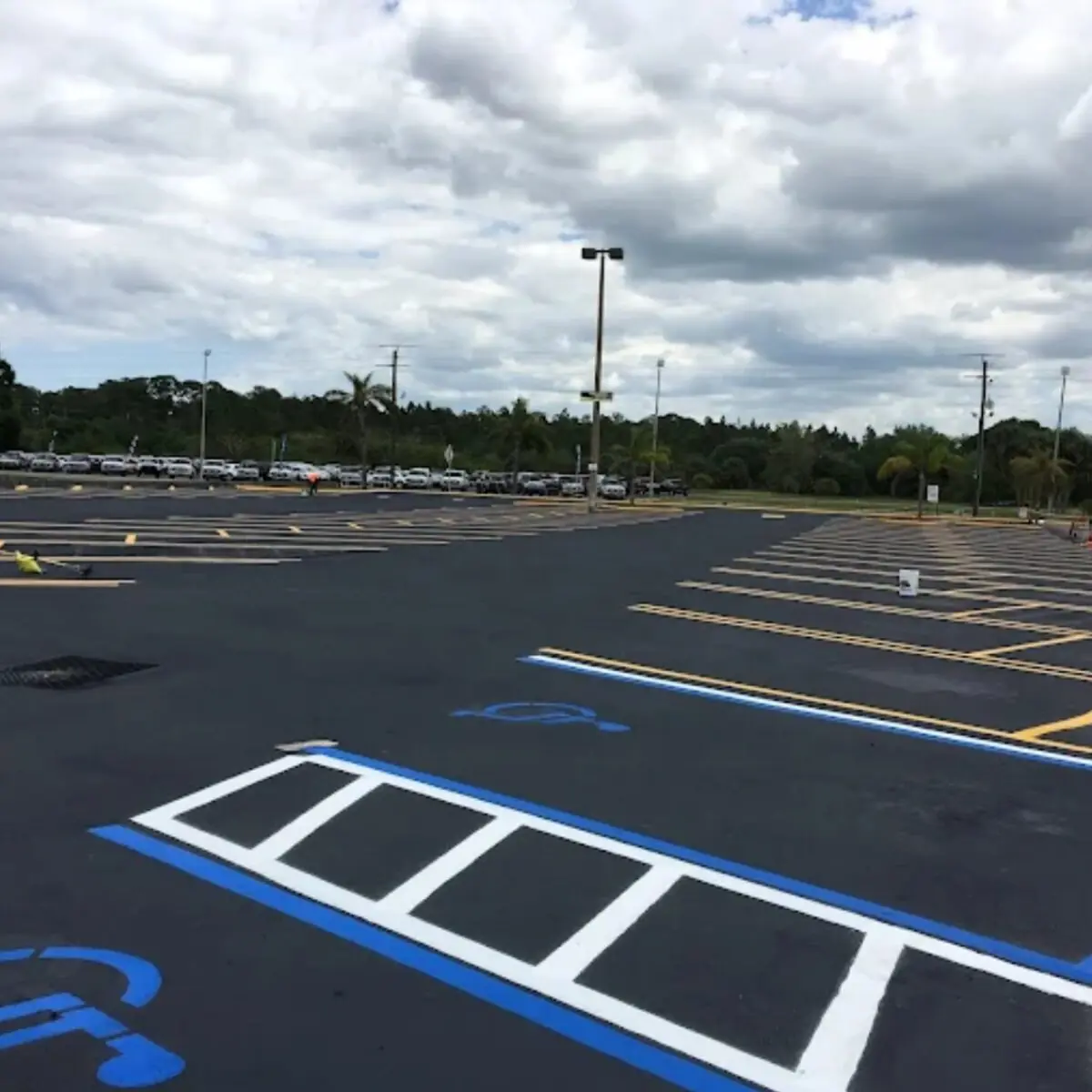 Large commercial parking lot with fresh white and yellow striping and ADA markings in Southwest Florida